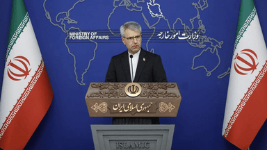 بقائی: تصمیم برگزاری نشست در عمان مربوط به امروز و دیروز نیست